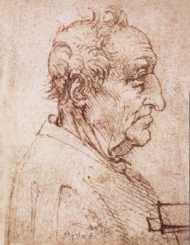 LEONARDO da Vinci Profile of an old man oil painting image